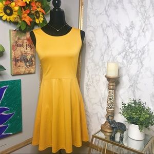 H&M Skater Dress